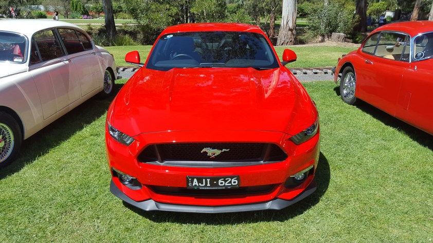 Como Gardens 2017-14